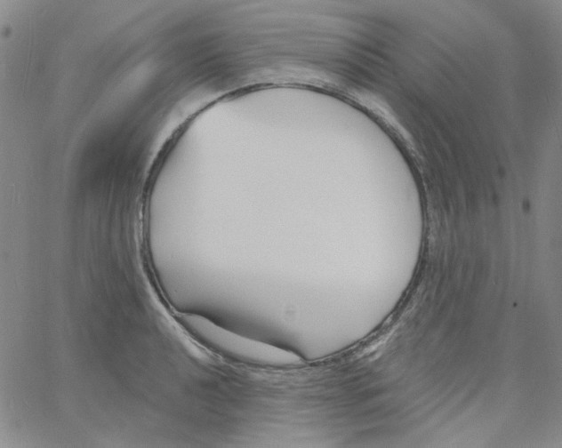 X0000060741040200512081913