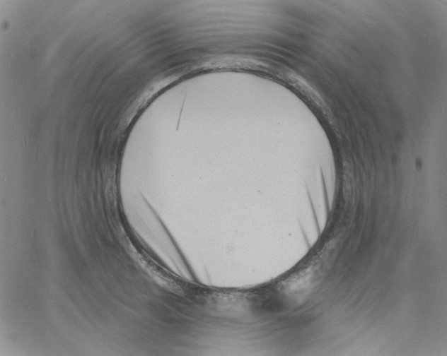 X0000060741041200512081913