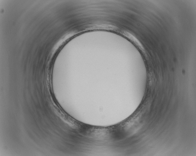 X0000060741043200512081913