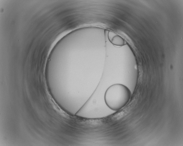 X0000060741044200512081913