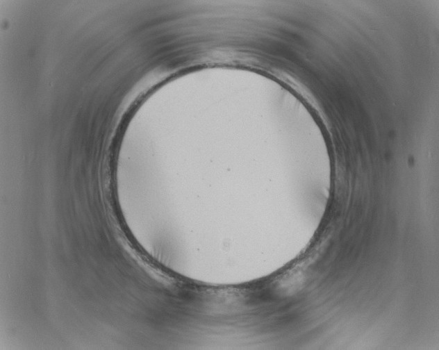 X0000060741045200512081913