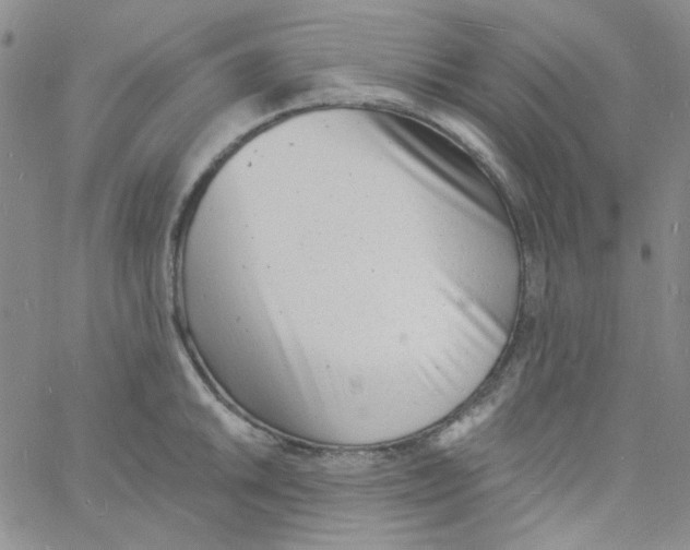 X0000060741046200512081913