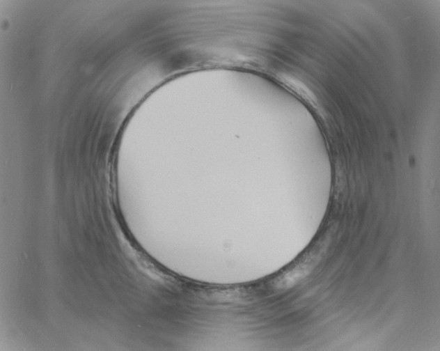 X0000060741047200512081913