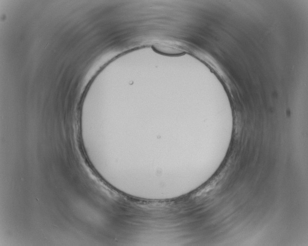 X0000060741048200512081913