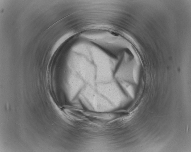 X0000060741050200512081913