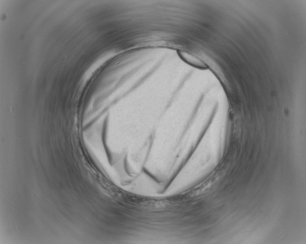 X0000060741051200512081913