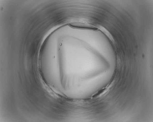 X0000060741052200512081913