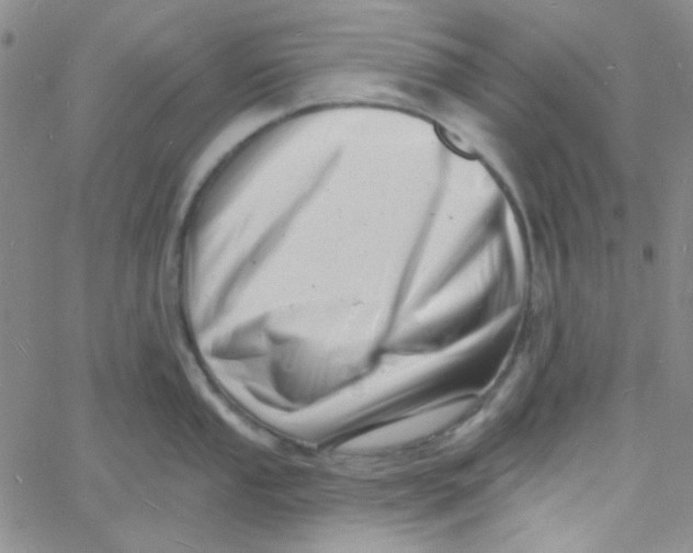 X0000060741053200512081913