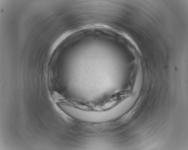 X0000060741054200512081913