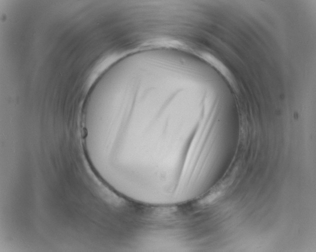 X0000060741055200512081913