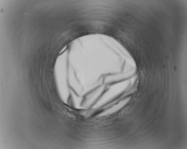 X0000060741057200512081912