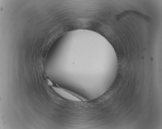 X0000060741058200512081912