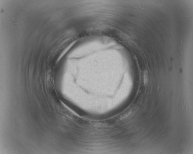 X0000060741059200512081912