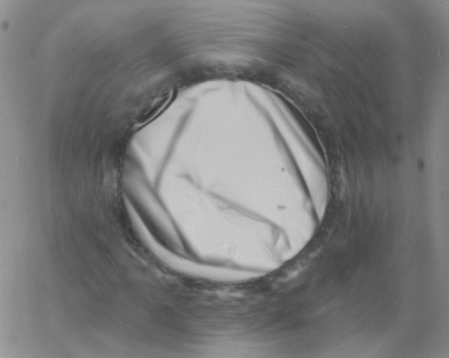 X0000060741061200512081912