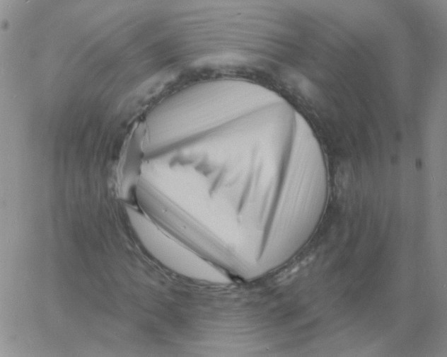 X0000060741062200512081912