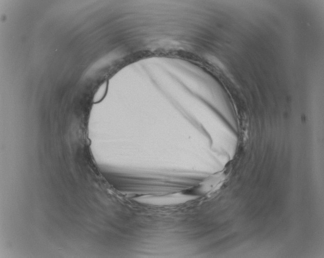 X0000060741063200512081912