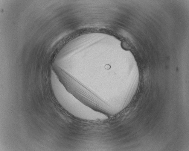 X0000060741064200512081912