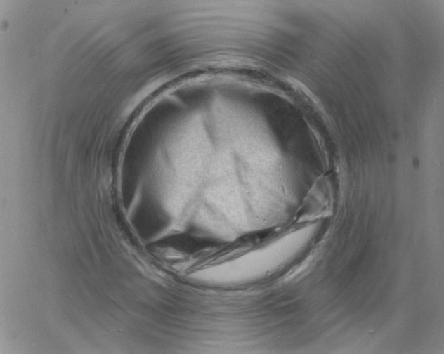 X0000060741065200512081912