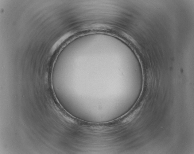 X0000060741066200512081912