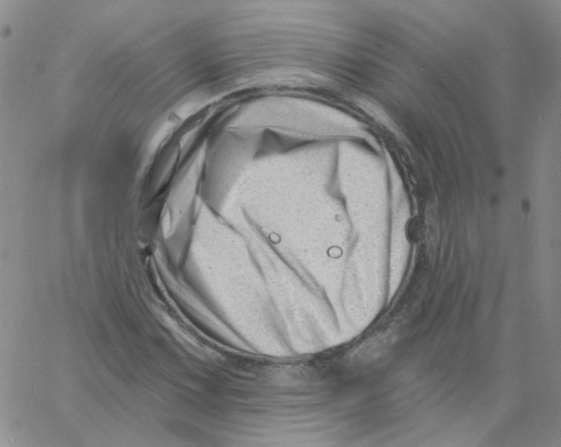 X0000060741067200512081912