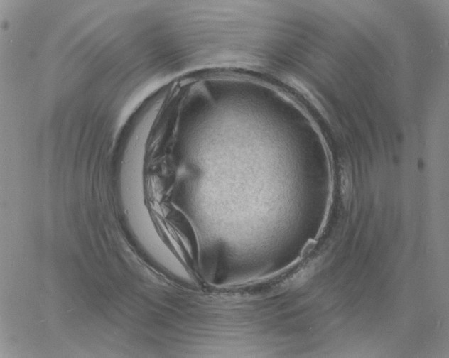 X0000060741069200512081912