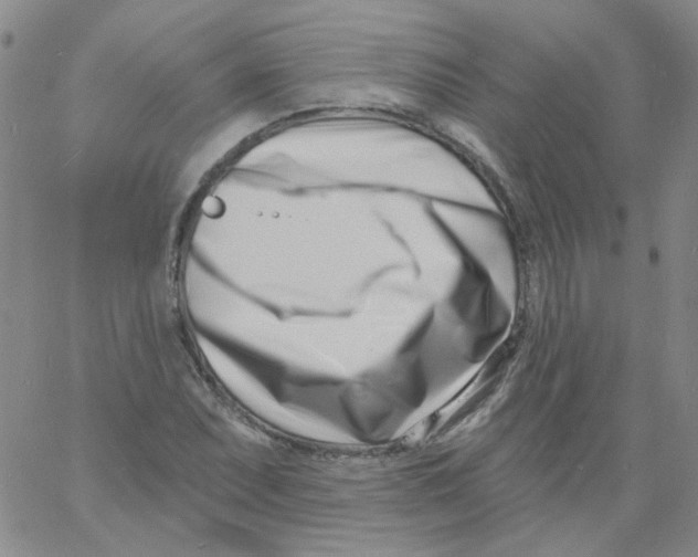 X0000060741071200512081912