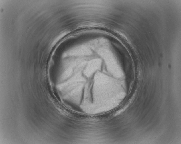 X0000060741073200512081912