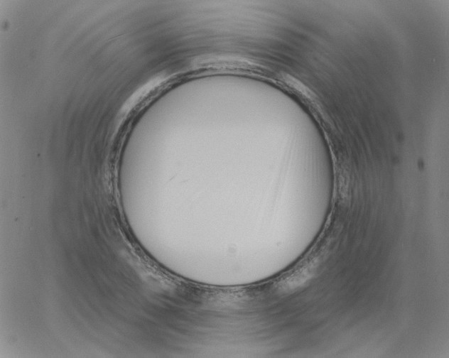 X0000060741074200512081912