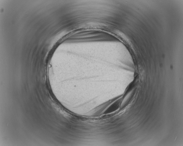 X0000060741075200512081912