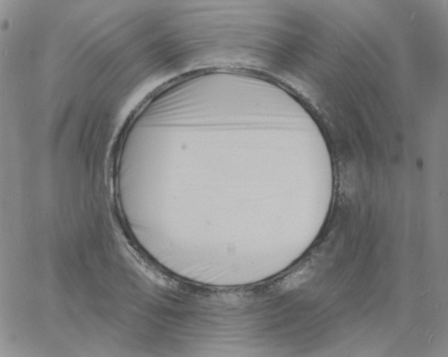 X0000060741078200512081912