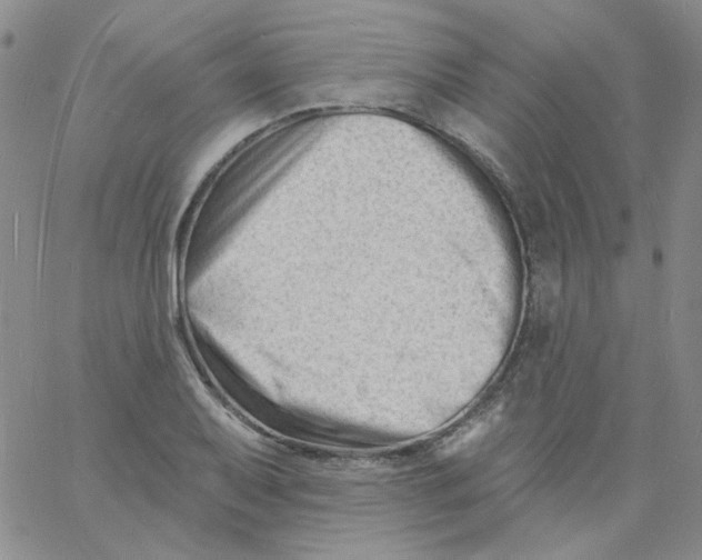 X0000060741079200512081912