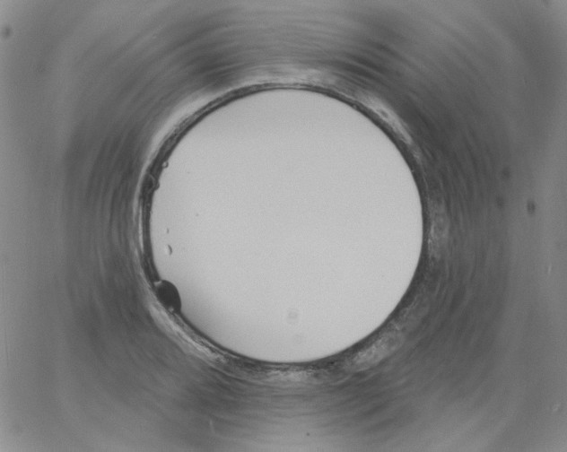 X0000060741080200512081912