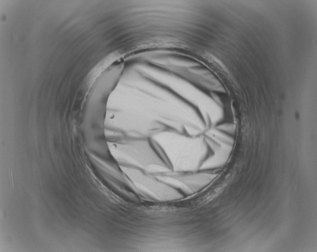 X0000060741081200512081912