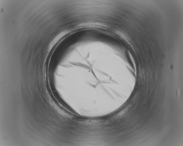 X0000060741082200512081912