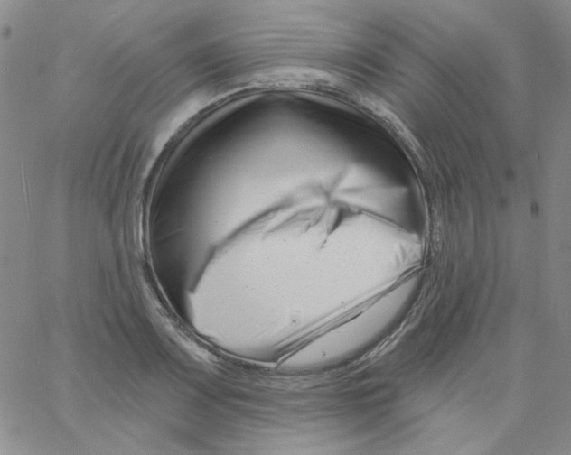 X0000060741083200512081912