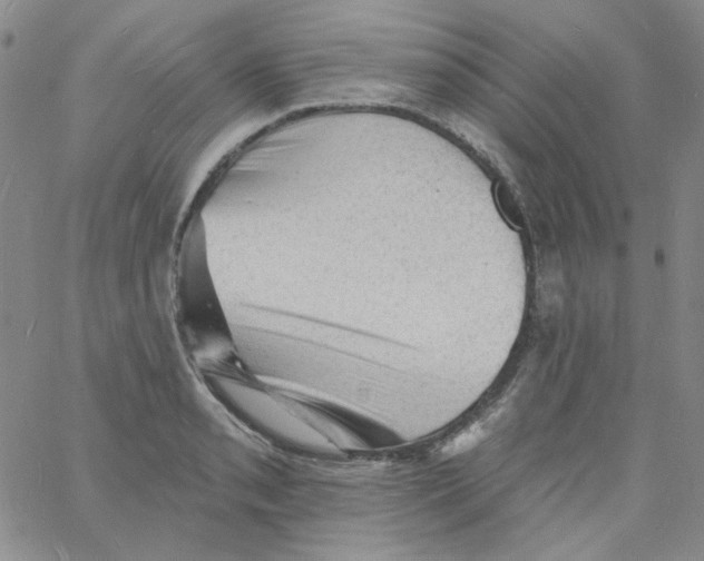 X0000060741085200512081912