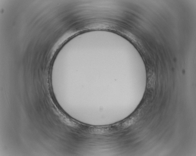 X0000060741086200512081912