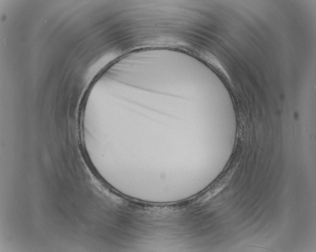 X0000060741087200512081912