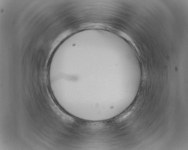 X0000060741090200512081911