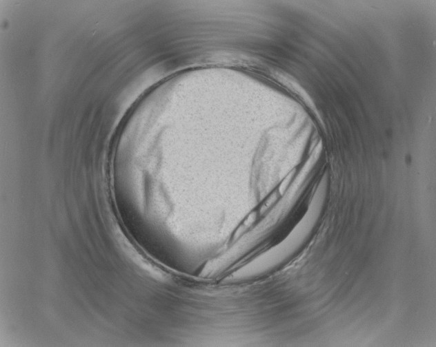 X0000060741091200512081911