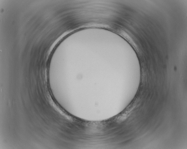 X0000060741092200512081911