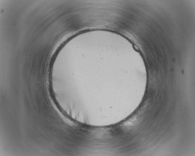 X0000060741093200512081911