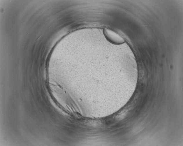 X0000060741095200512081911