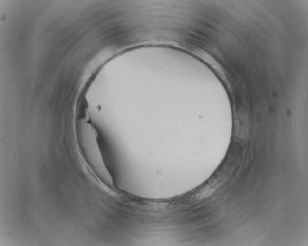 X0000060741096200512081911