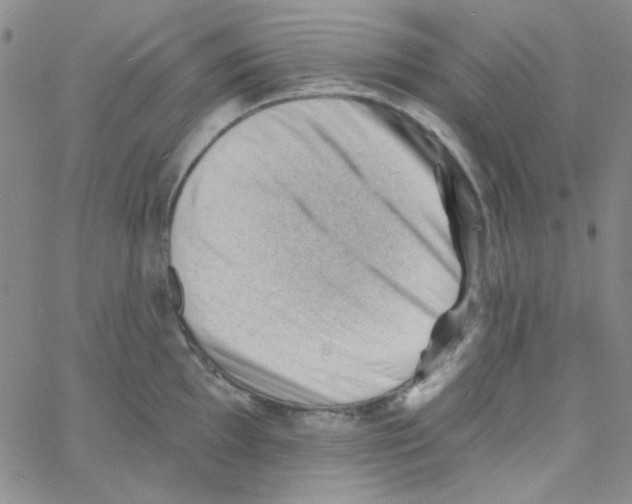 X0000060741097200512081911