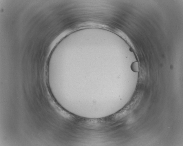 X0000060741098200512081911