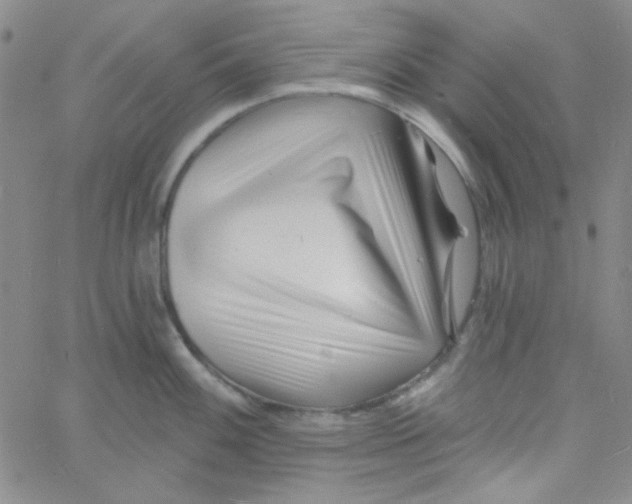 X0000060741100200512081911