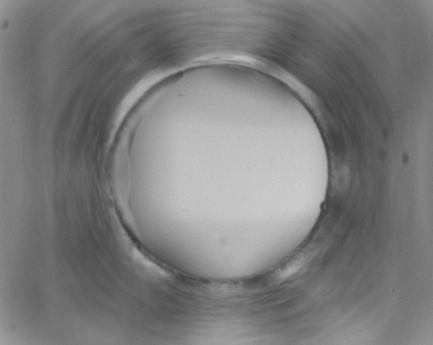 X0000060741102200512081911