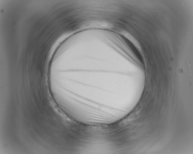 X0000060741104200512081911