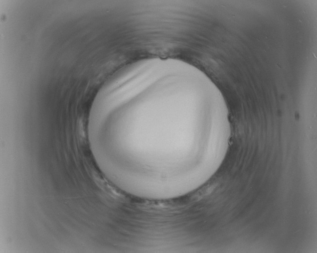 X0000060741106200512081910